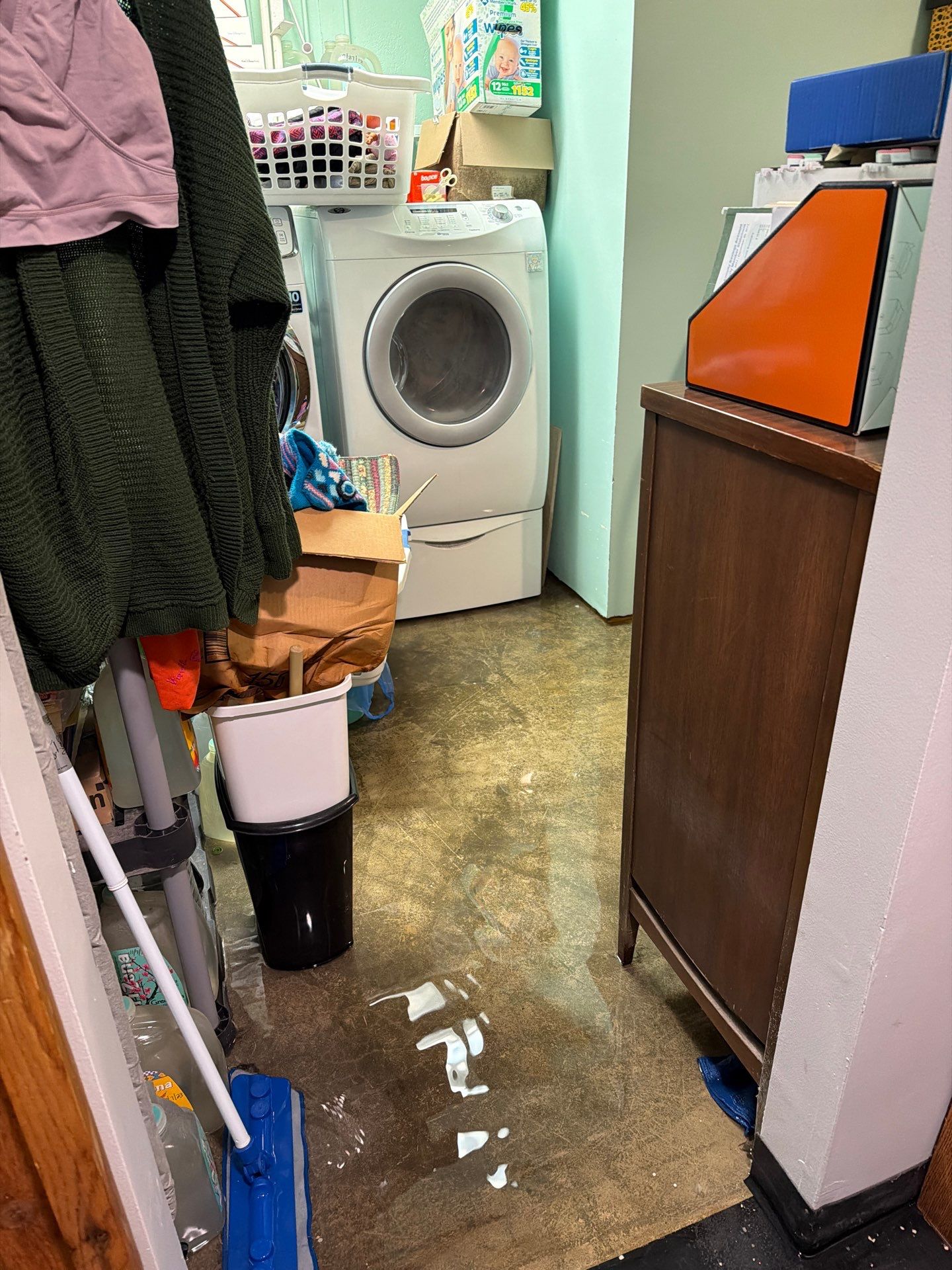 Flooded Basement Cleanup in Arcadia: Drying & Cost